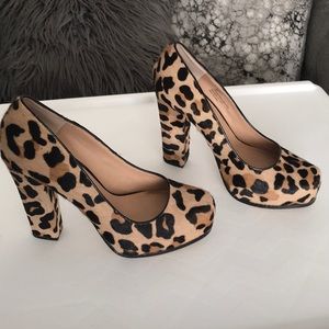 Leopard print Steve Madden platform heel